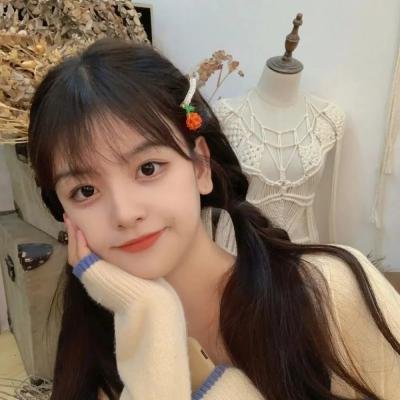 笨鸟满天飞